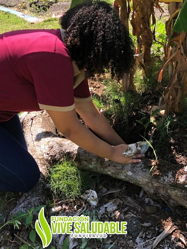 06b3832f-bcd7-425d-a2f1-efb0f72f6165