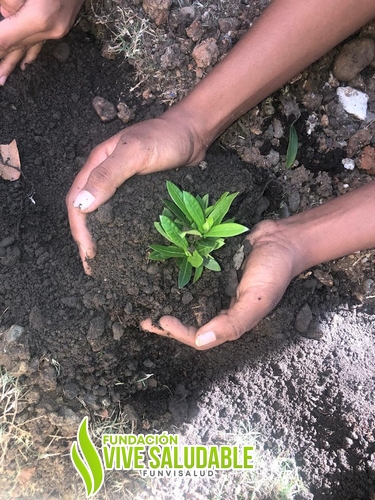 1986ed0a-ba56-46e8-a398-6b0556daf1c3