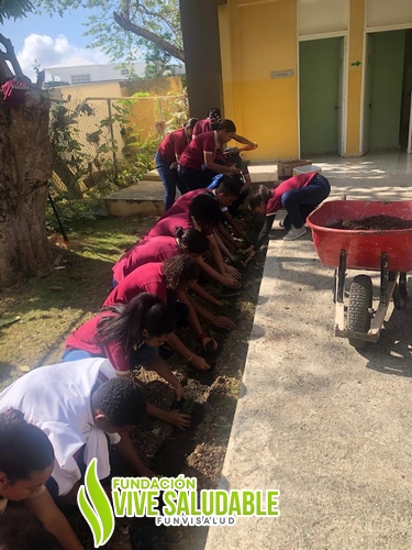 2d2520c2-f813-4dc9-bb9d-2dce5a7dc646