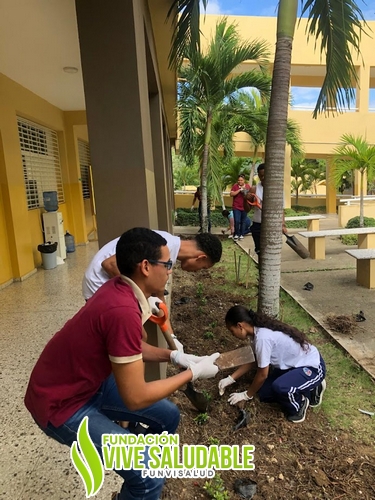 3b50ba19-7d5a-4da6-b363-f696e0ab3636