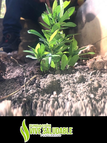 57e36fa1-8dbe-4195-972c-d041aa746467