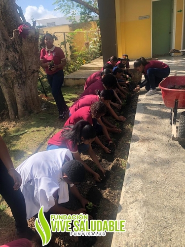 6182b95d-59d5-4133-99d0-5ae7a556a697