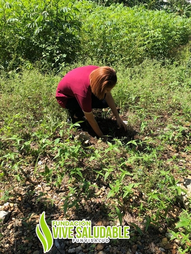 6a0c4d8c-ea30-4c5f-afd3-b500218eb00b