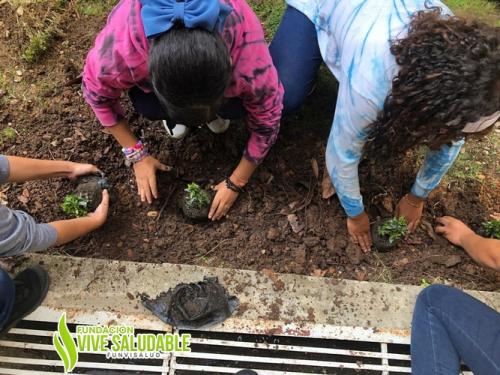 9ab9de62-08ad-48a6-81fb-c82dcc873887