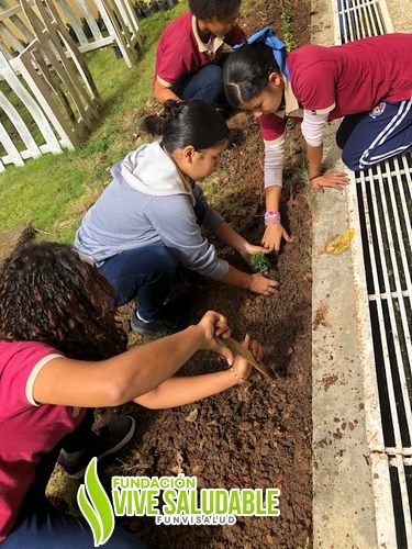 a6c1e5c7-78cb-47b0-93fc-d316be8445ce