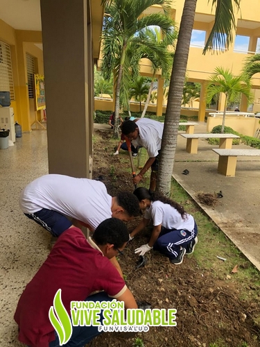 a946a10c-73b4-4537-8fef-6f57a4ec00ca