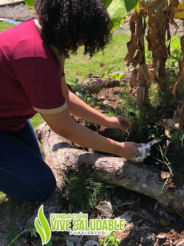 bd73db81-380c-4c68-816c-cf11d1e2e6e3