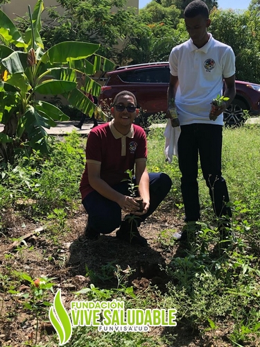 c8db7d1a-84fc-4c05-bdbf-956b729833b4