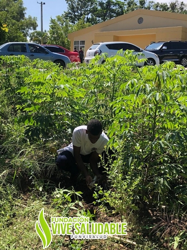 efb9b48f-1e6a-451f-b570-193e34191725