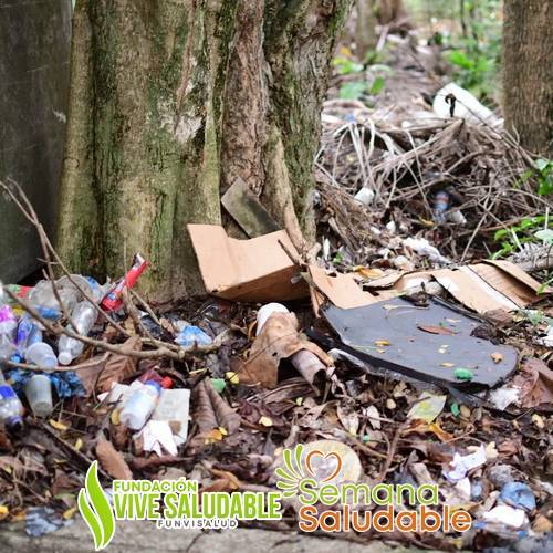 440722620 747073480900559 2413128618330882418 n